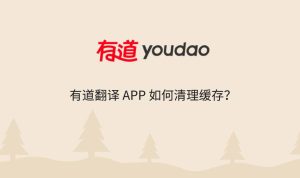 有道翻译应用卡顿？缓存清理与性能优化全攻略？
