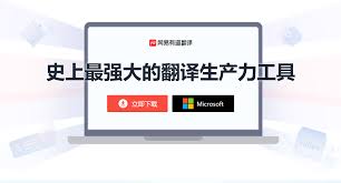 有道翻译扫描后无结果？本地组件与网络检测