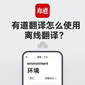 有道翻译离线翻译包下载失败？存储权限与网络检查？