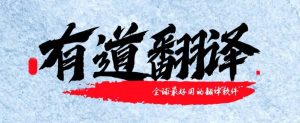 有道翻译翻译结果不准确？语言模式与文本优化技巧？