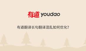 有道翻译多语言同时翻译失败？设置与顺序优化