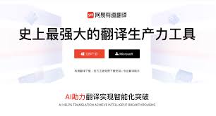 有道翻译批量复制结果错乱？文本格式优化技巧