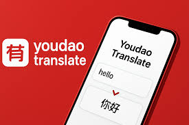 有道翻译插件更新失败？浏览器设置修复方法