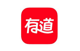 有道翻译网页端闪退或白屏？缓存与插件排查