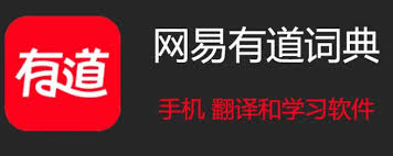 有道翻译网页端闪退或白屏？缓存与插件排查