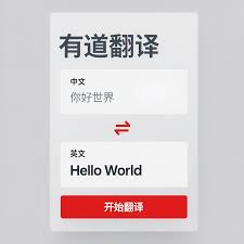 有道翻译翻译内容错乱？缓存清理与重置方法