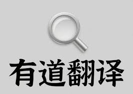 有道翻译翻译速度慢？网络与硬件优化技巧