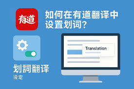 高分辨率屏幕下有道翻译显示异常？DPI 适配技巧